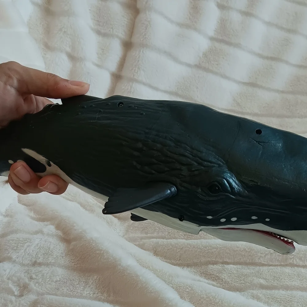 Whale big whale 14